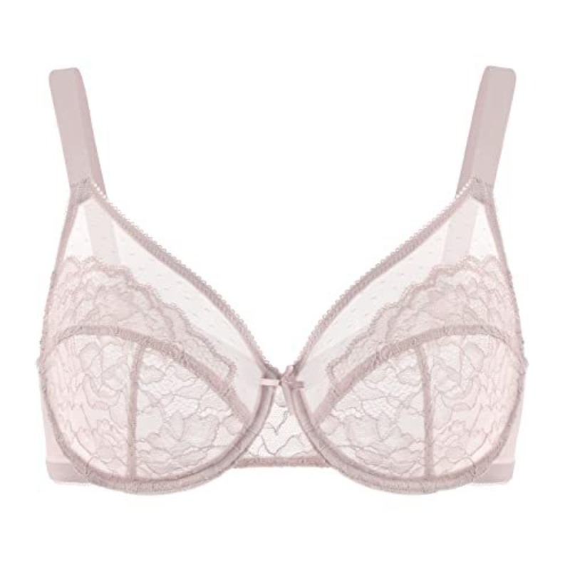 Plus Size Lace Bra French Push - Sheer Mesh Bra ulasan dan harga